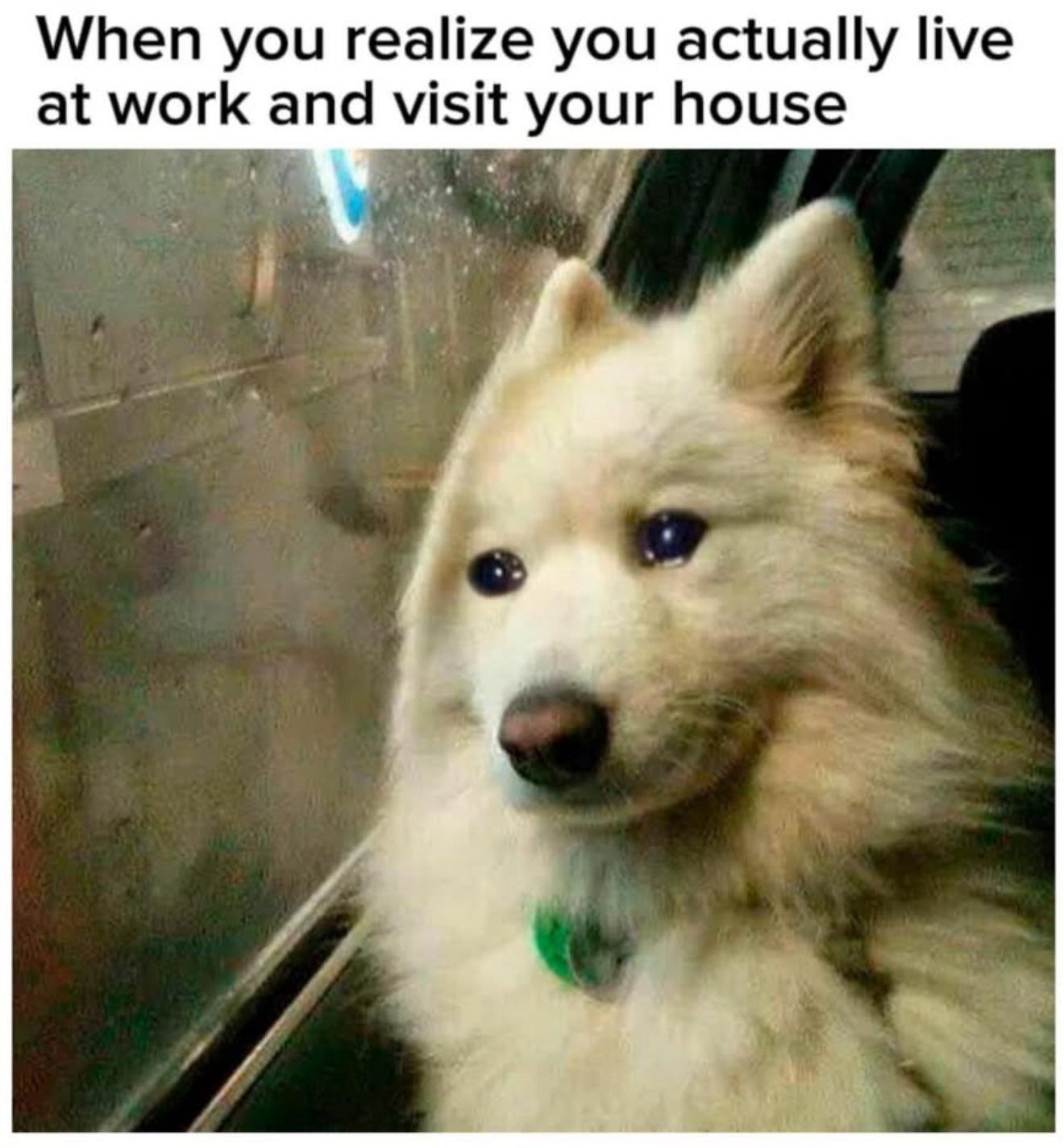 how have tables turned