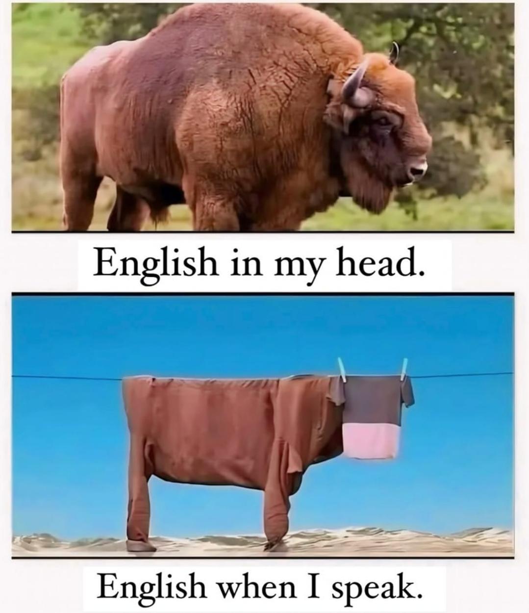 My English 👀🍂