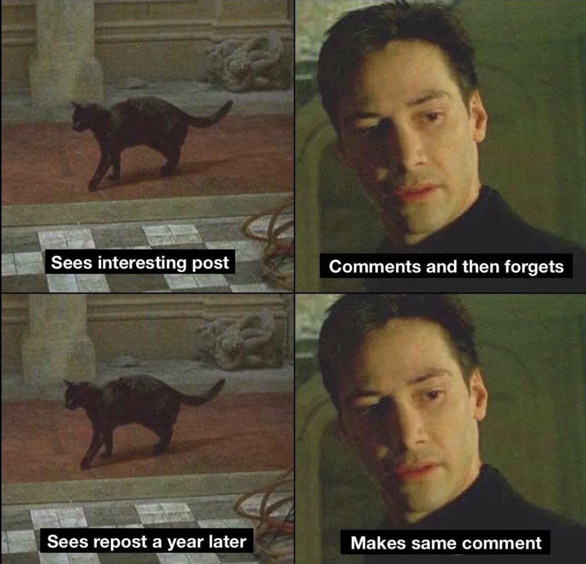 Reddit Déjà vu