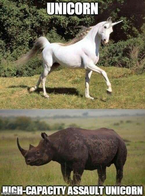 Brother from another mother
