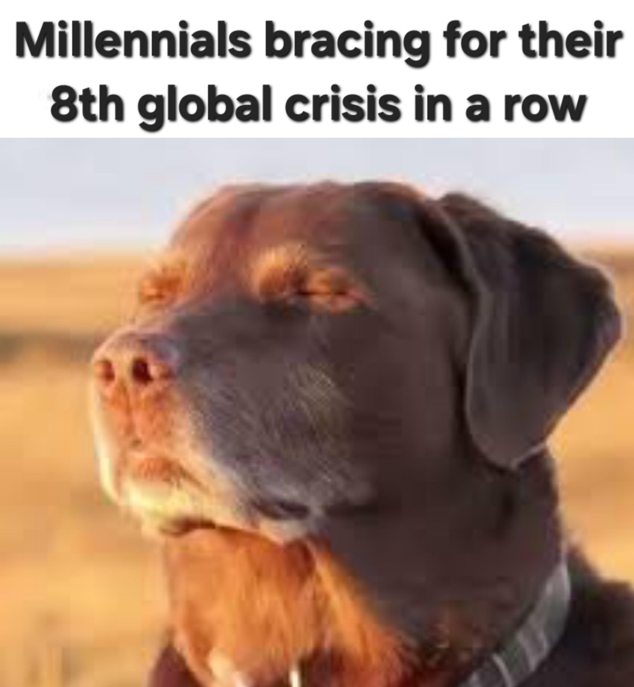 Traditional self deprecating humor for the first official work week of the year