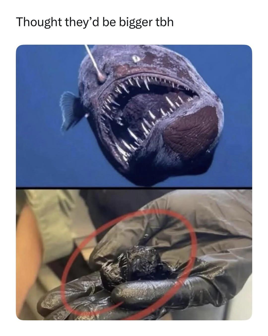 This is honestly so embarrassing.