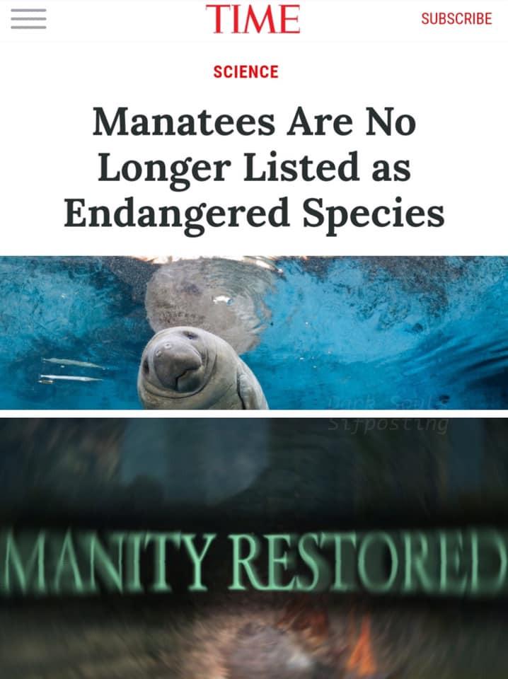 Oh the Manity