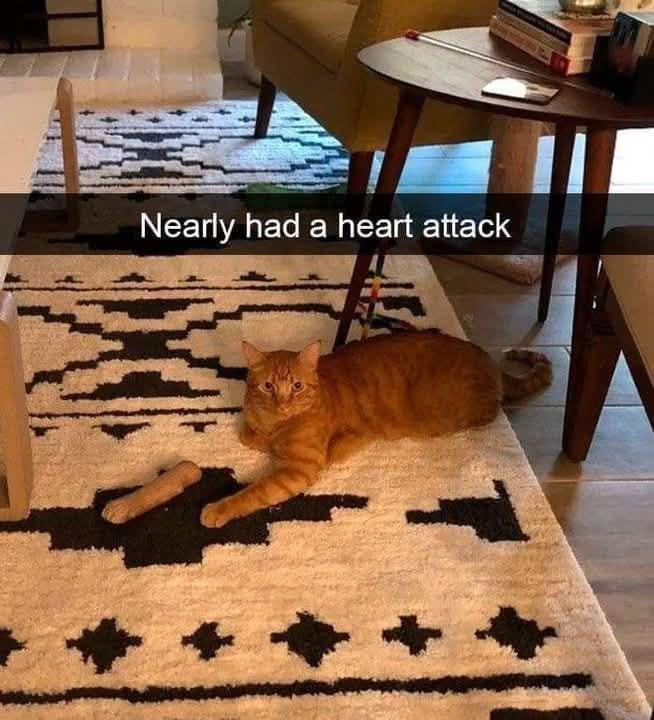 So shocked I had to pawse for a sec.