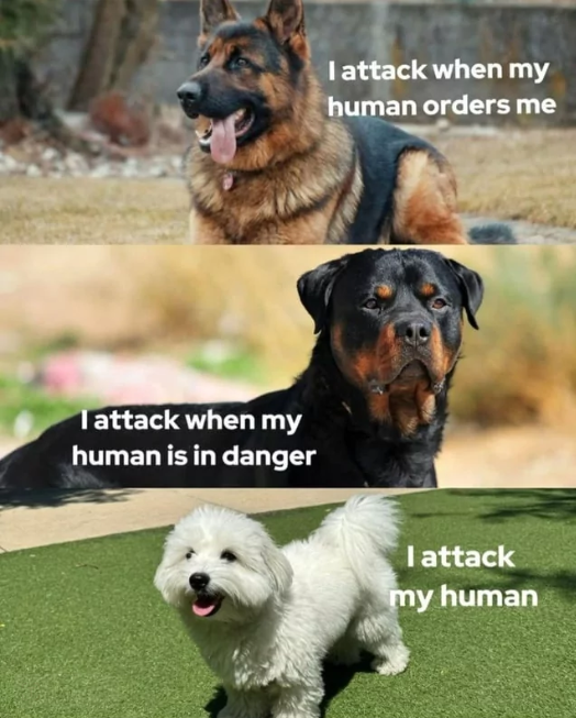 Not man's best friend