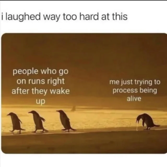 i laughed way too hard at this