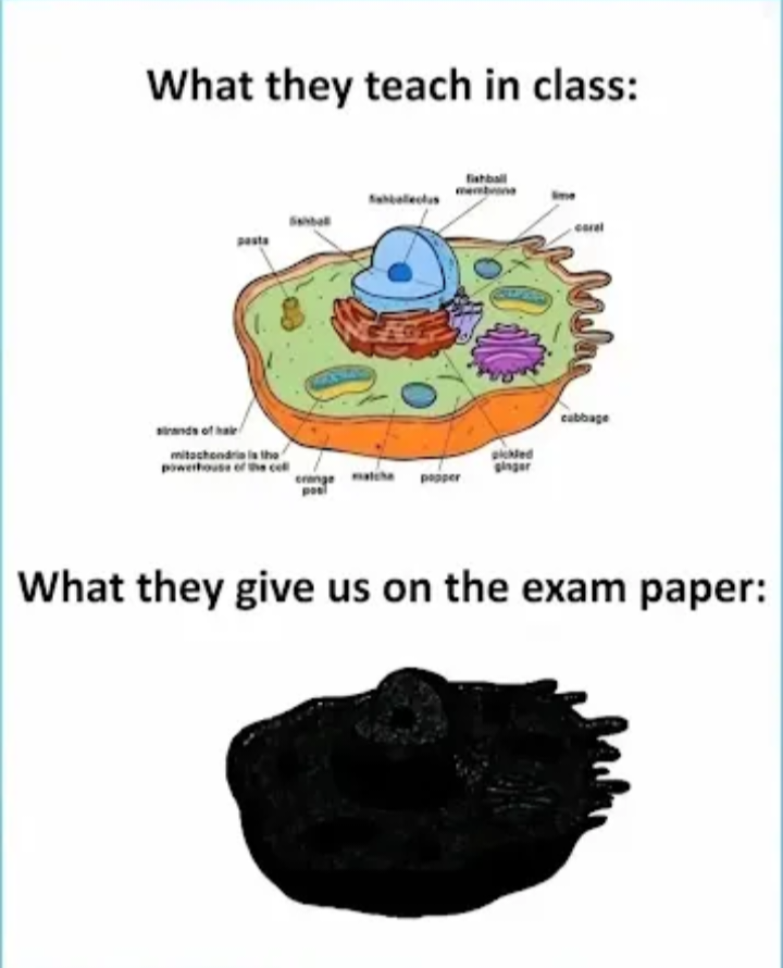 Is it just me?