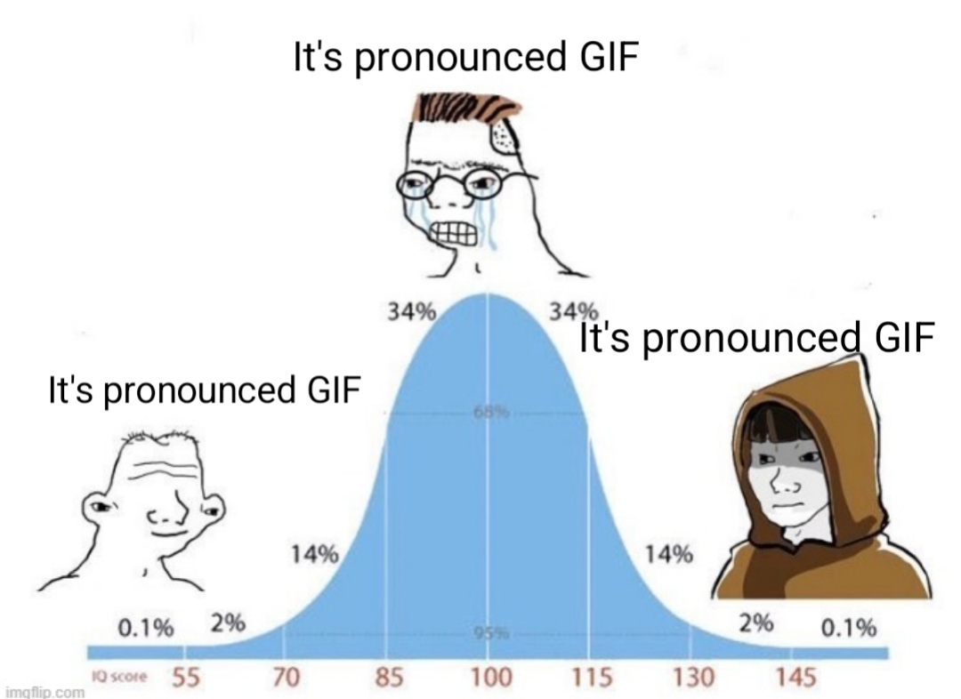 IT'S GIF, NOT GIF