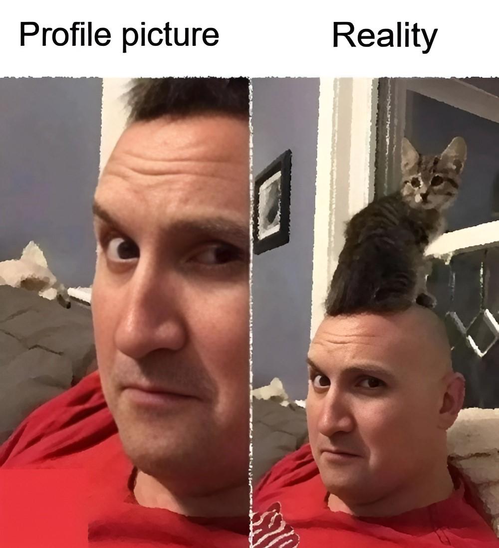 Where the magic happens