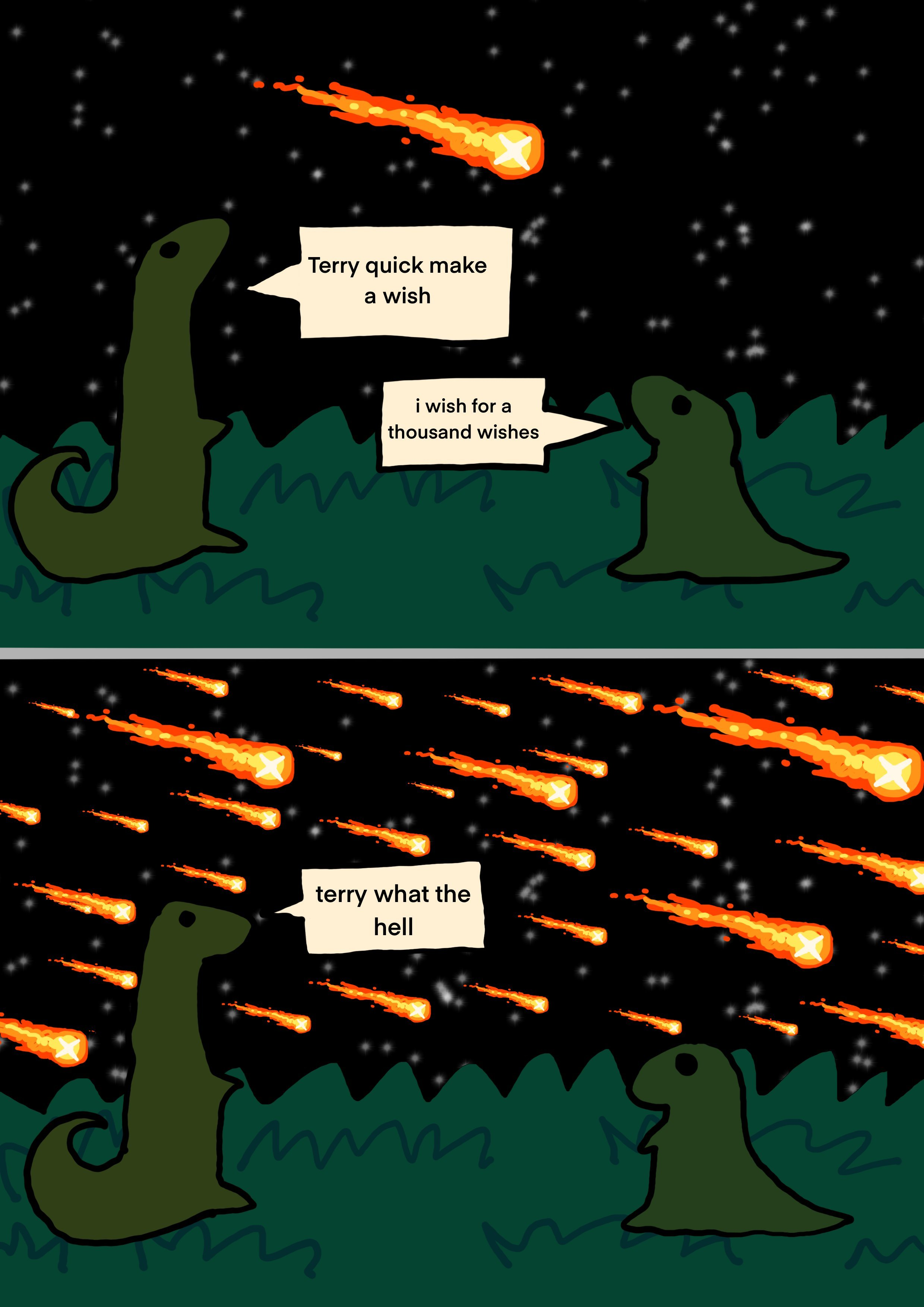 terry what the hell