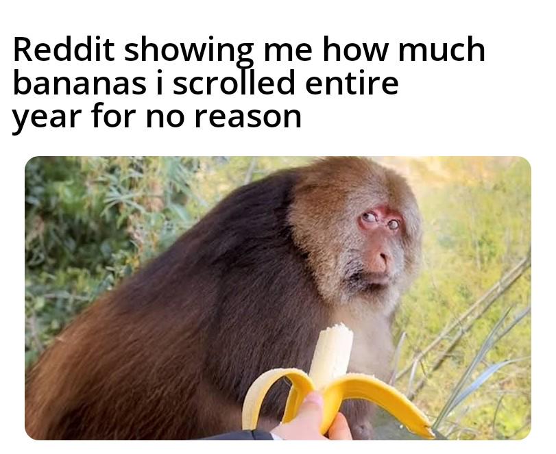 I scrolled 197,504 bananas this year