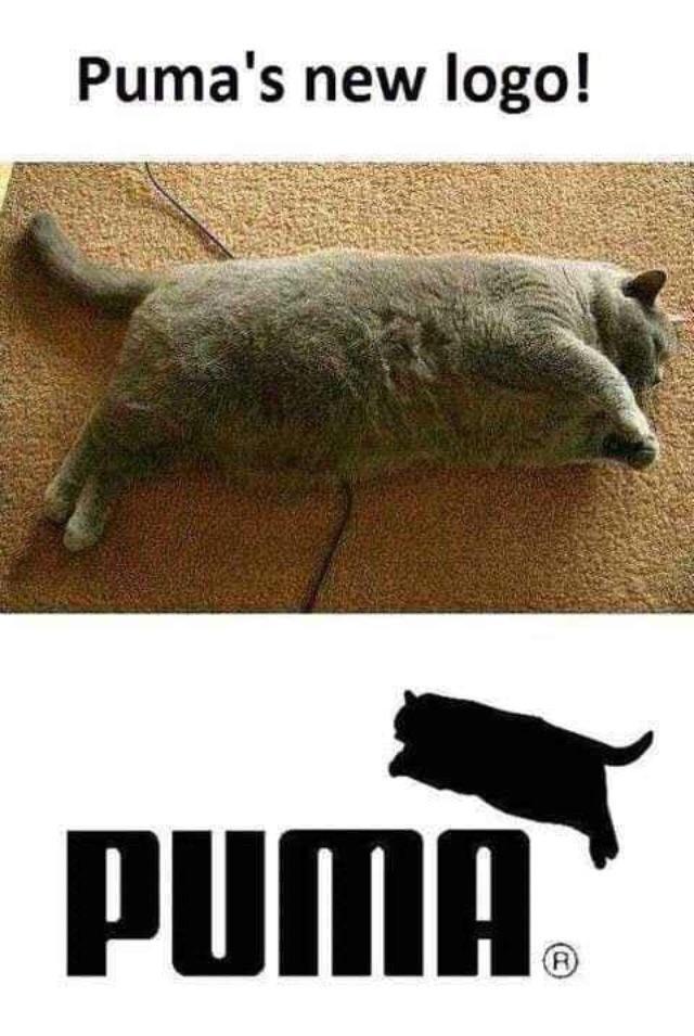 Puma's new logo just dropped!