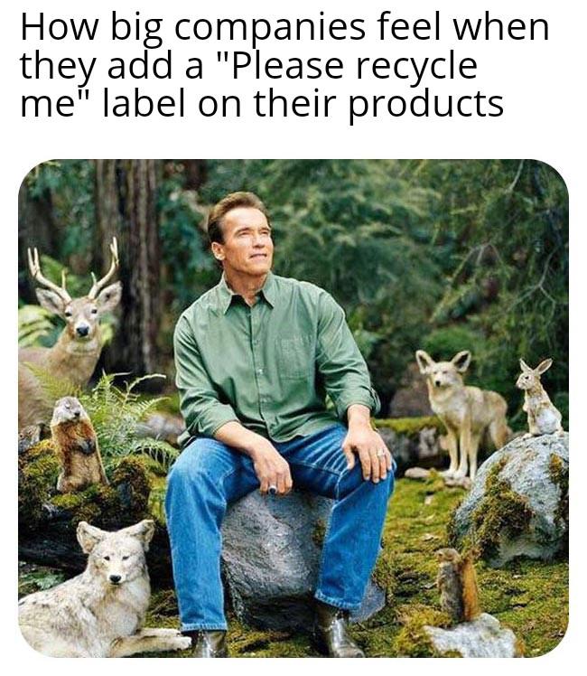 Big companies in a nutshell