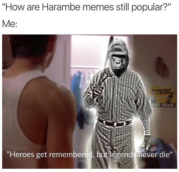 Harambe is gone but never forgotten.
