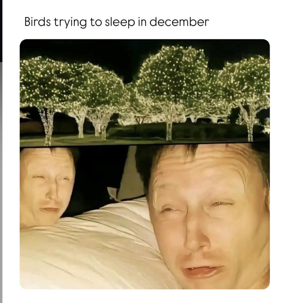 Turn the lights off Louis