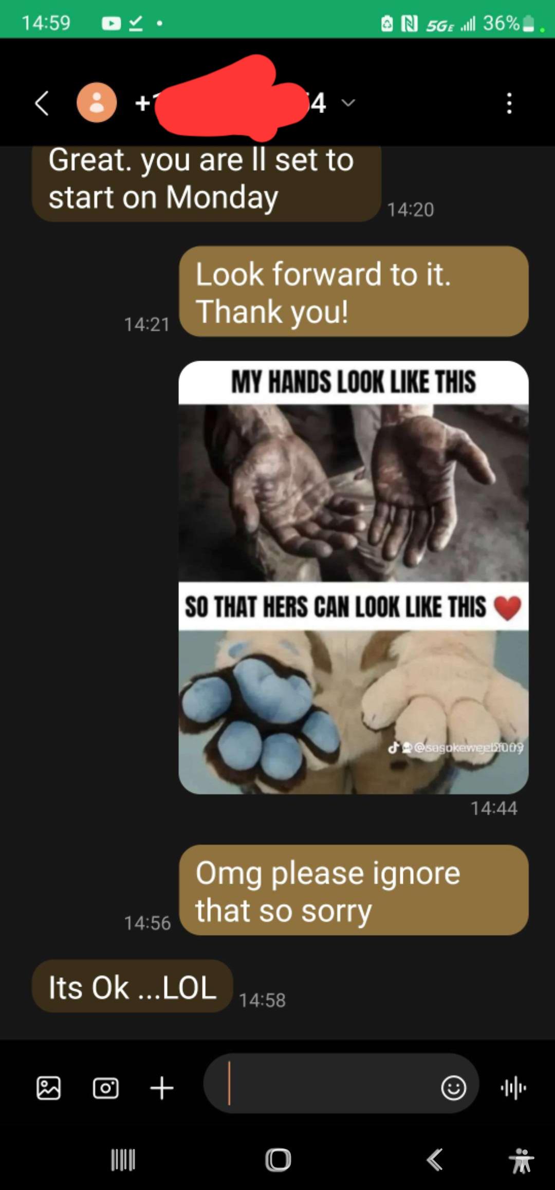 Accidentally sent this shit to my potential employer