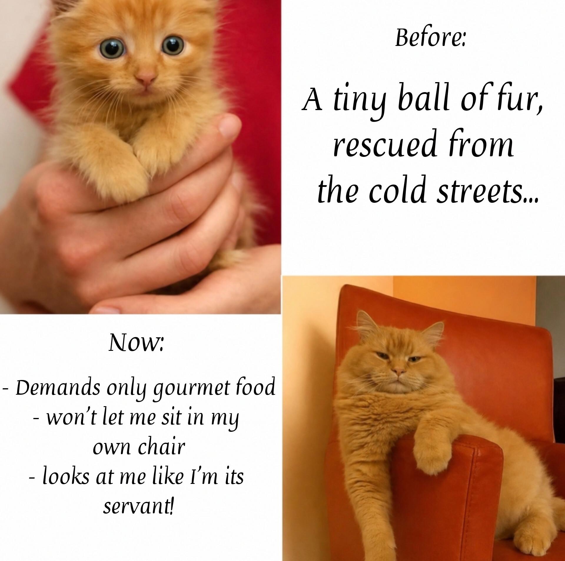 From street nugget to full-time landlord