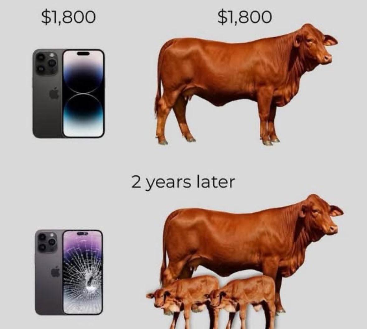 Which way western man?