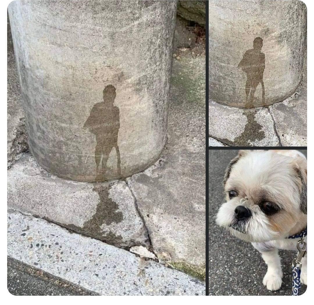 The art and the artist.