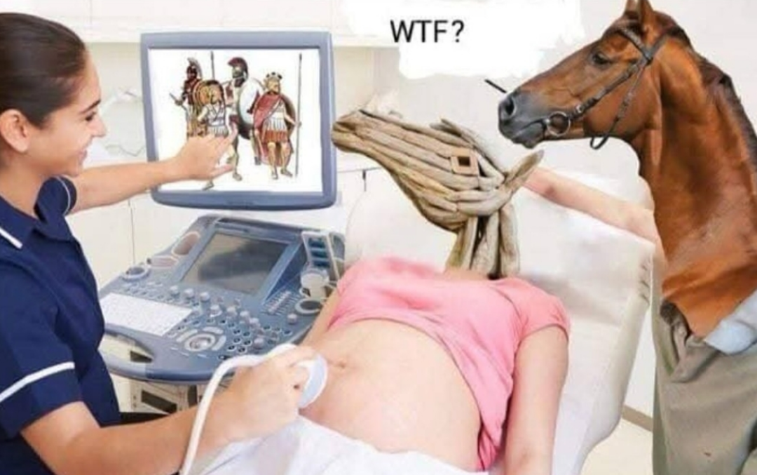 Horsing around
