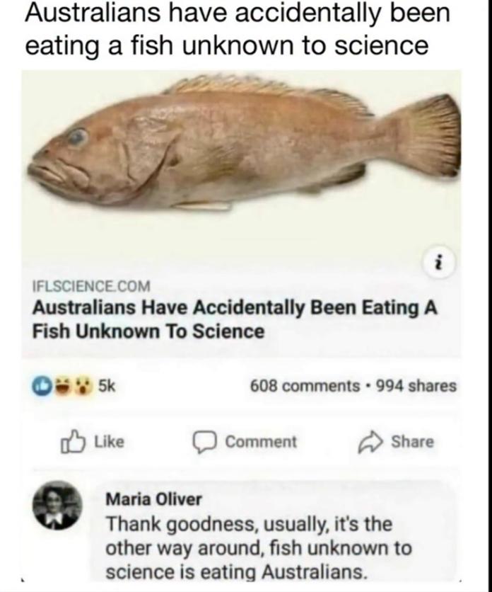 Australians Eating Fish Unknown To Science