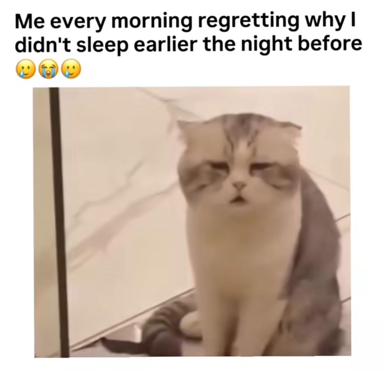 Every work days story