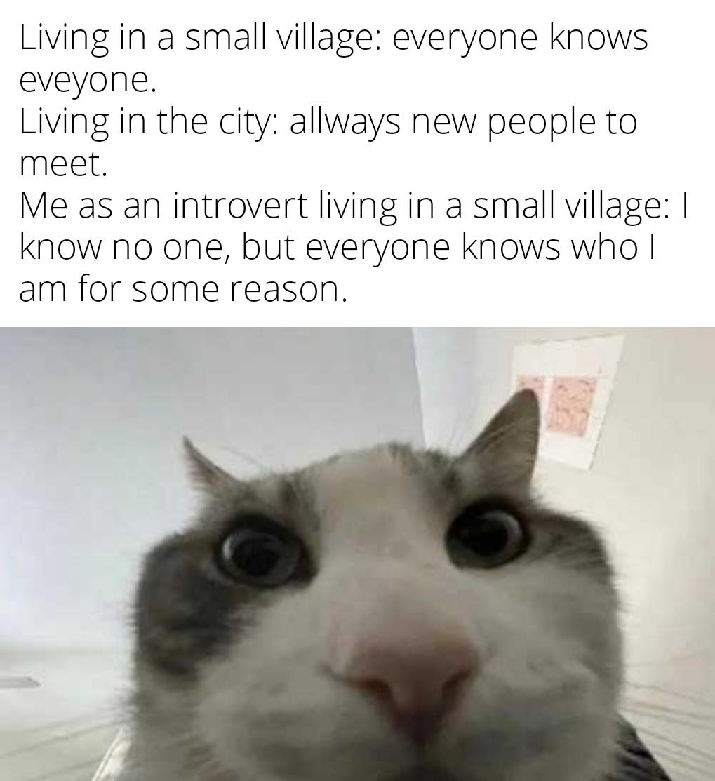 "You are from that place! Then you must know that person, right?" No I don't