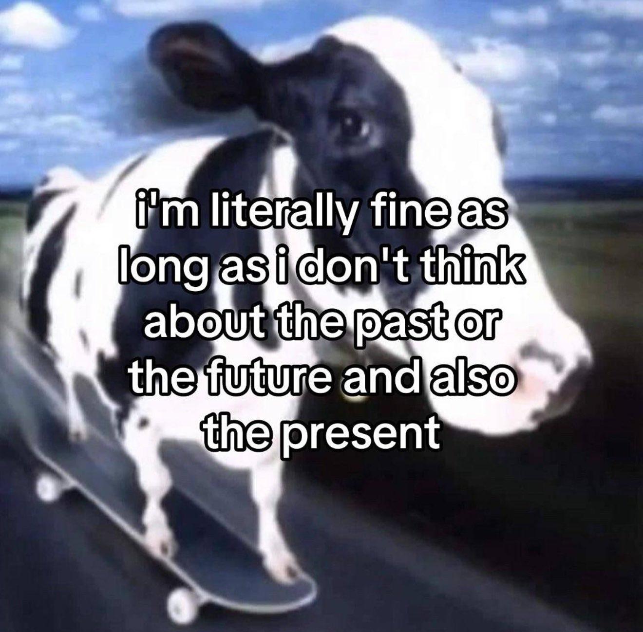 My current situation as a meme😔