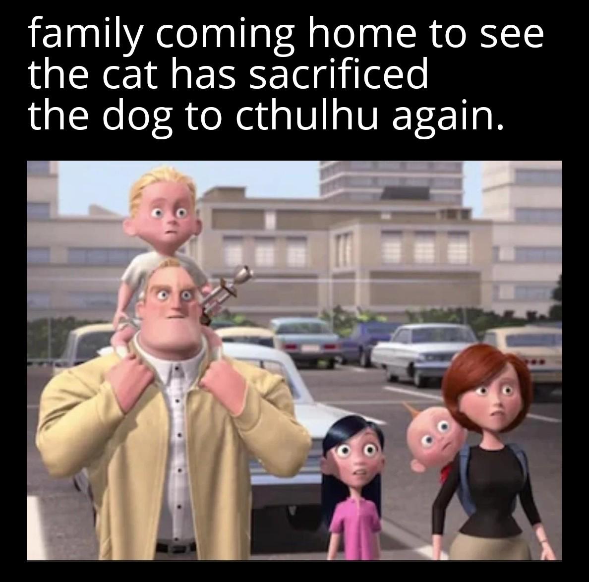 This cat has issues.