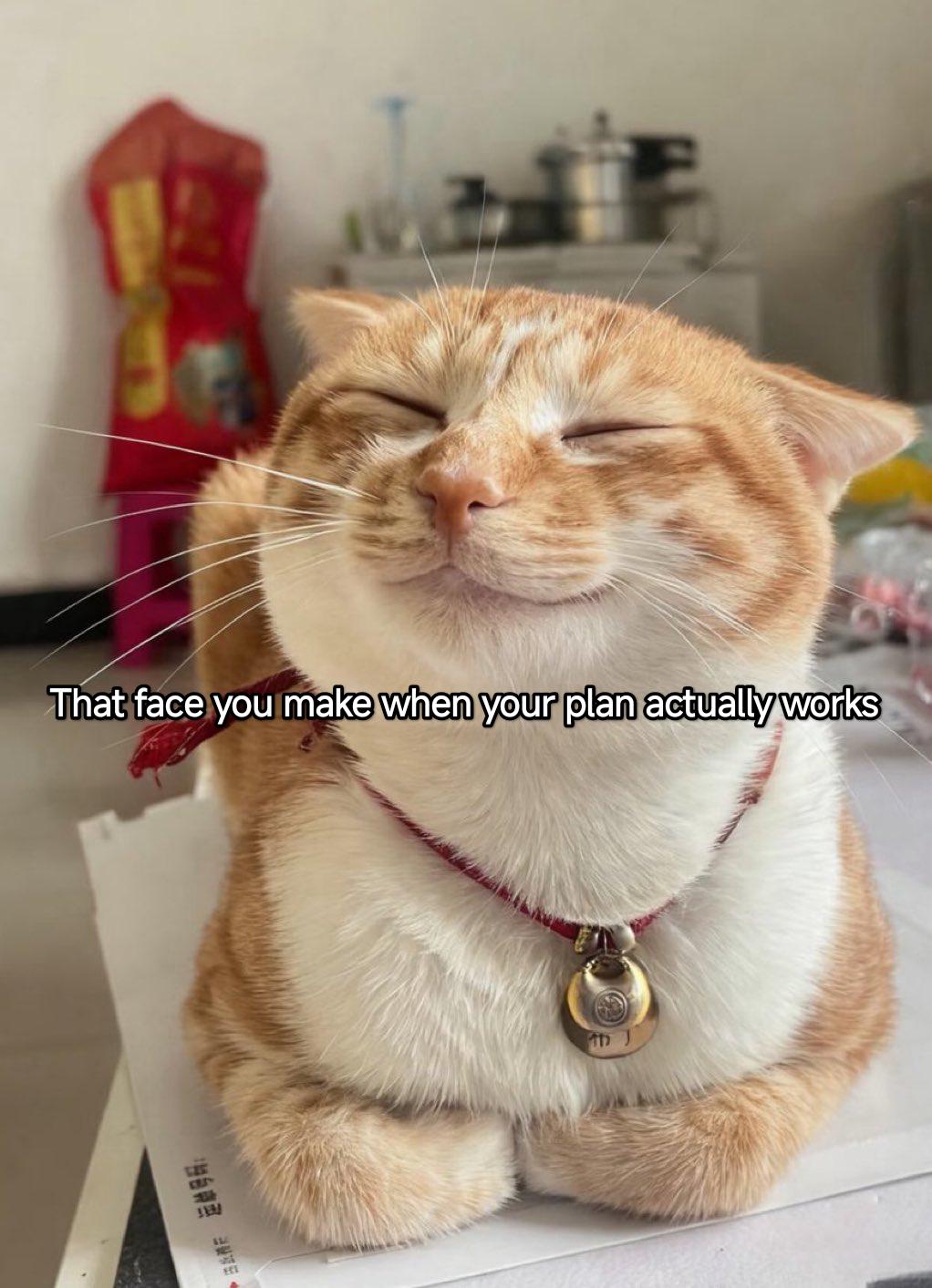 Trust me, bro. I got a plan.