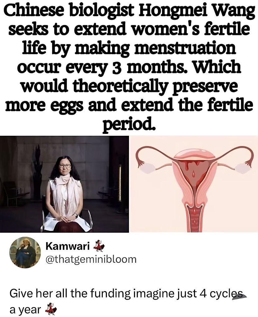 If this works, fund it immediately