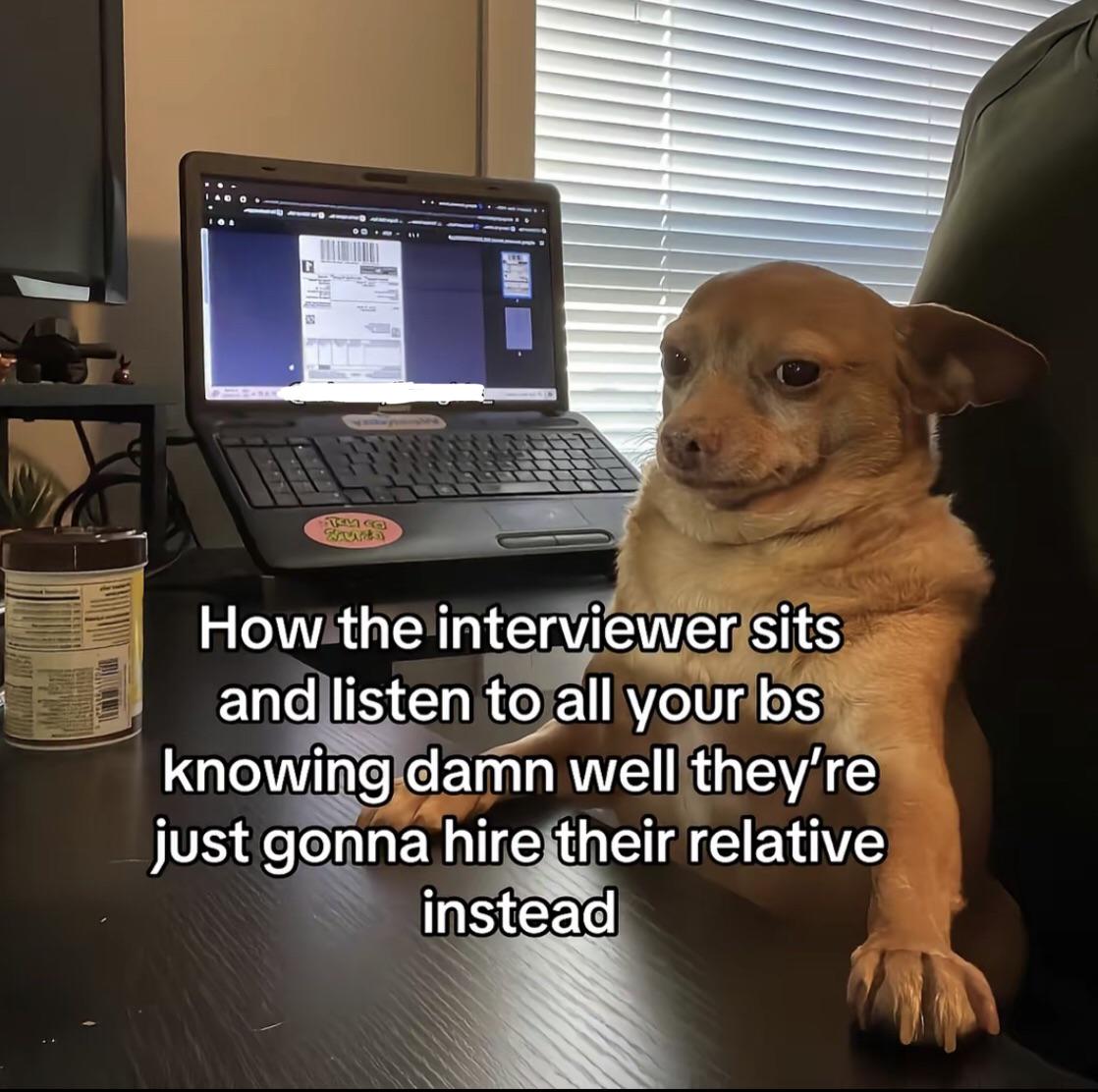 story of my job hunt