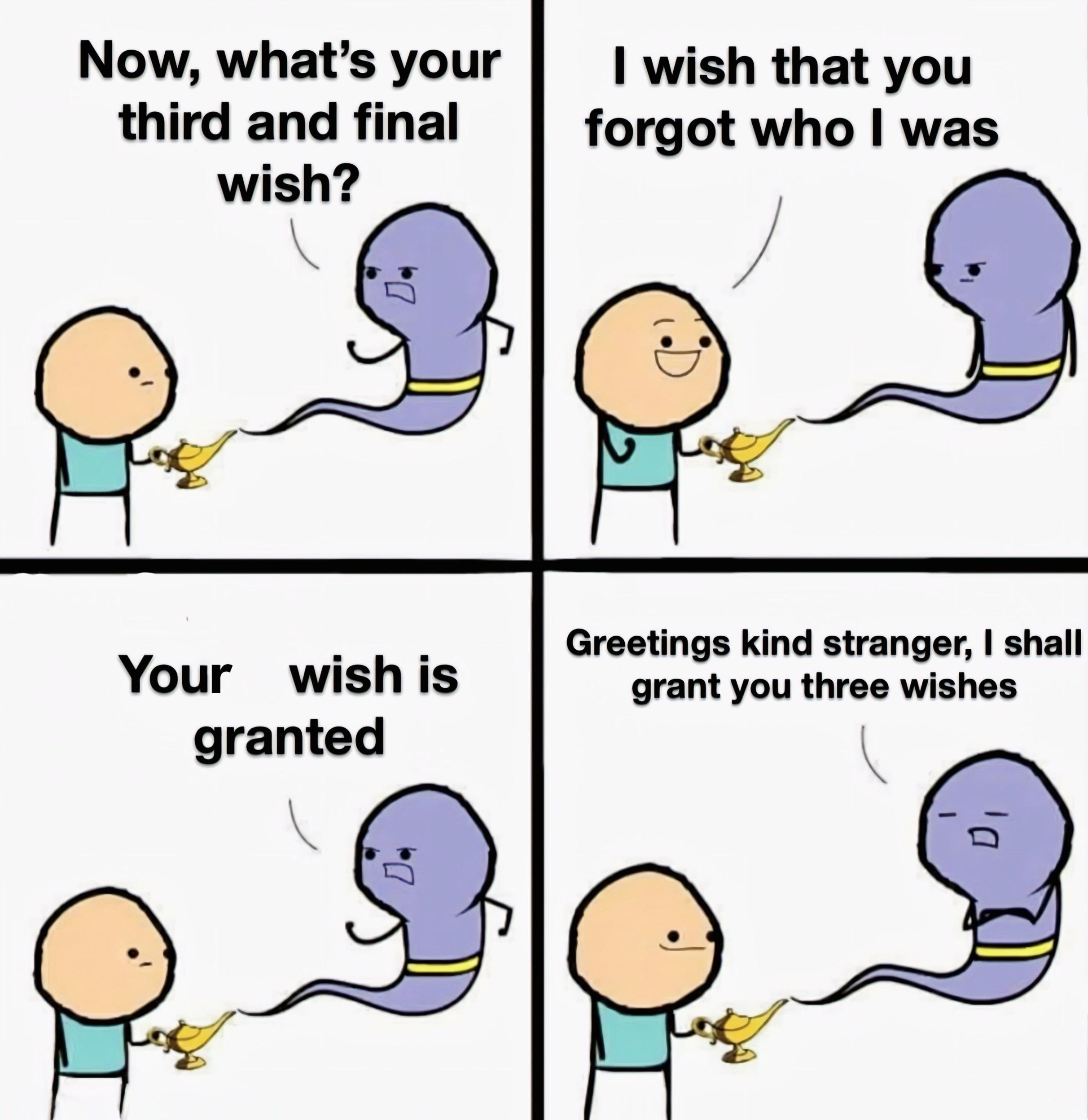 Third Wish: Permanent Incognito Mode