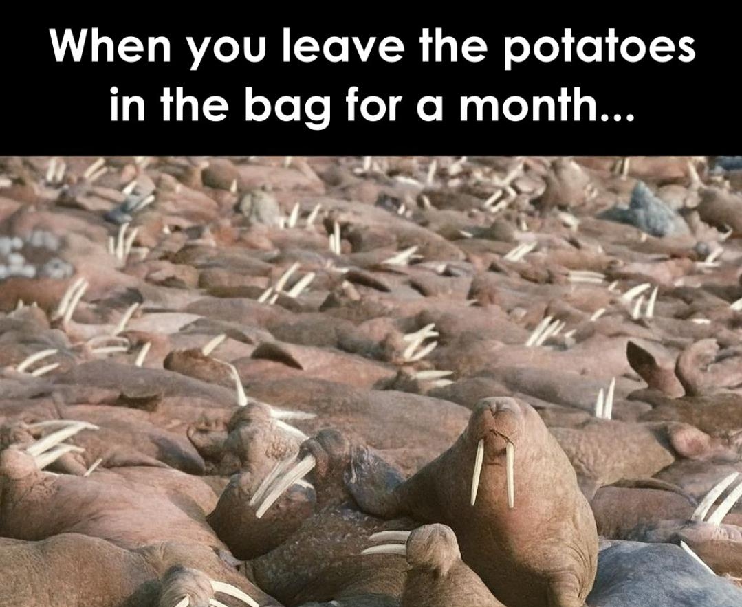 Everytime dude!