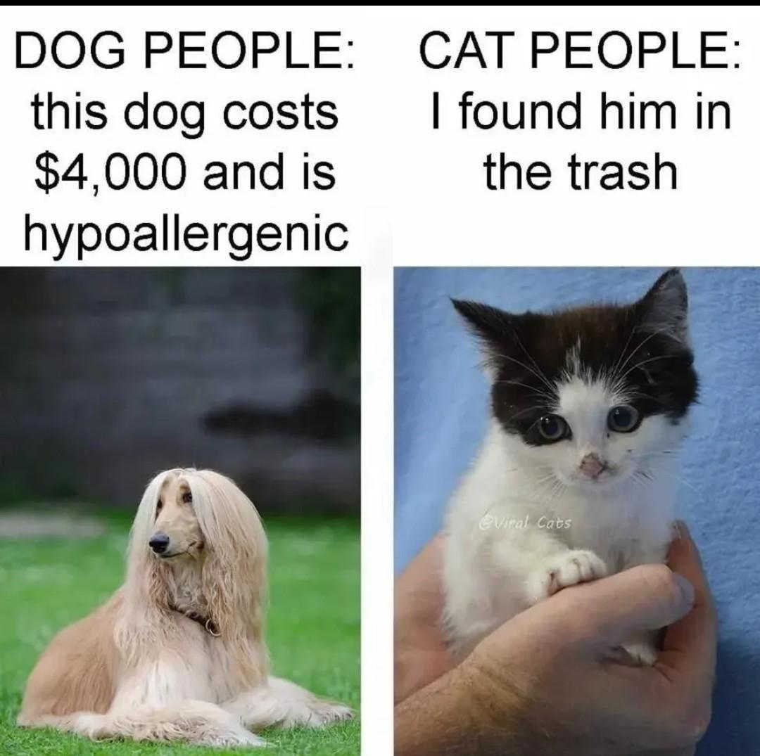 Cat distribution System.