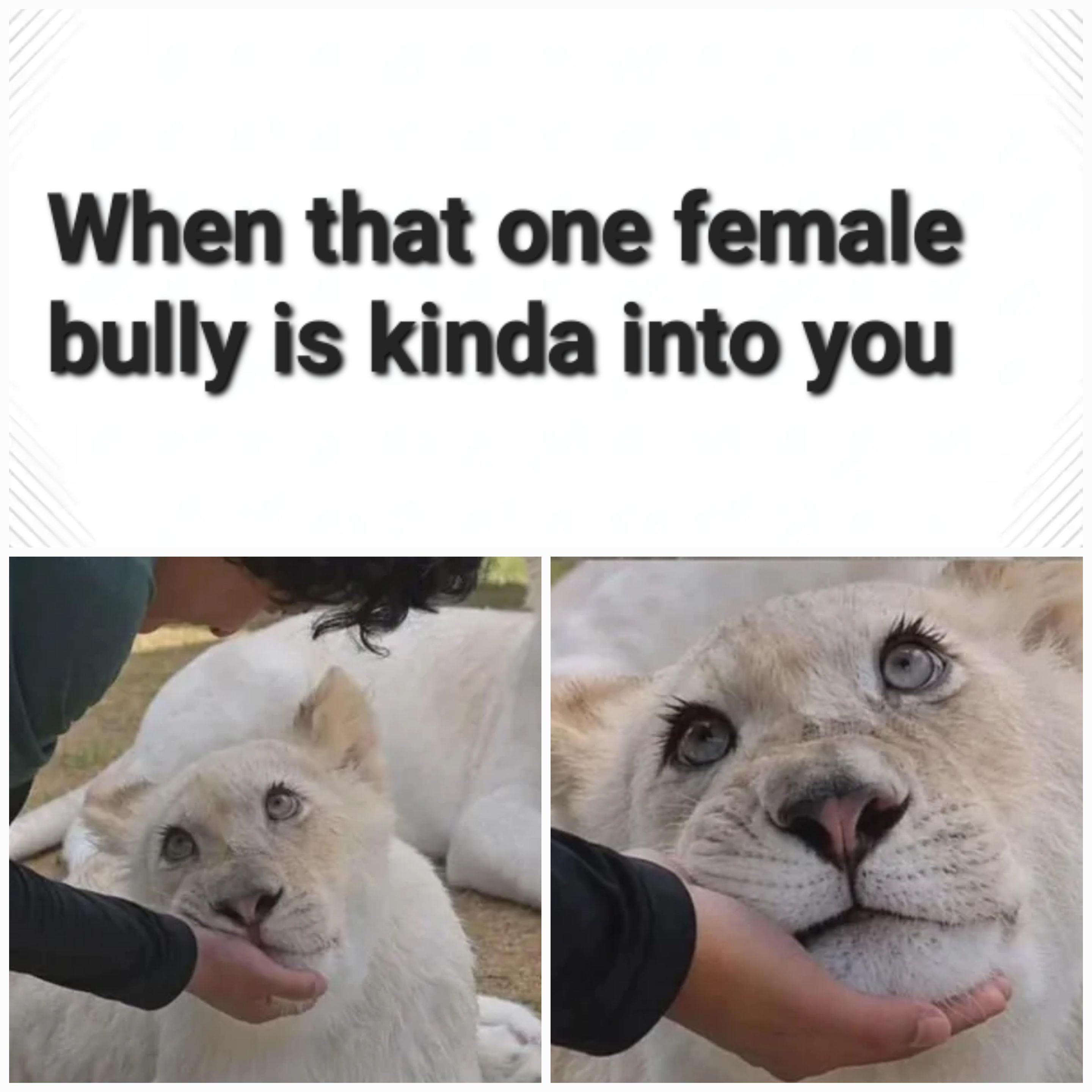 I have been there