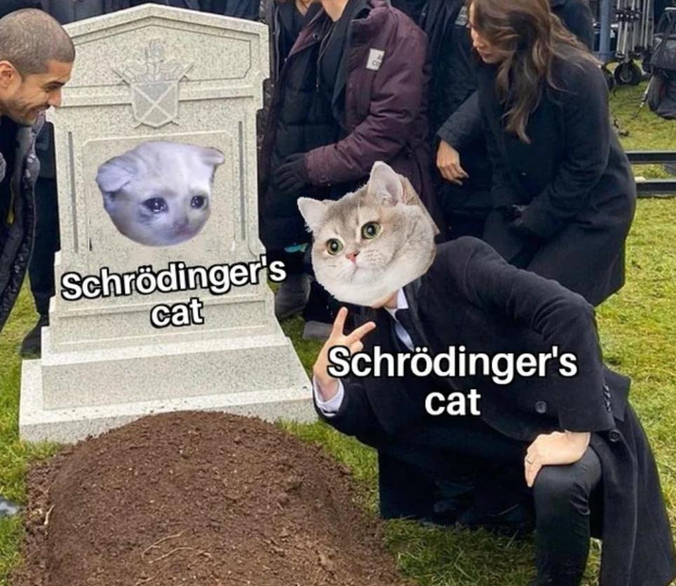 Schrödinger car