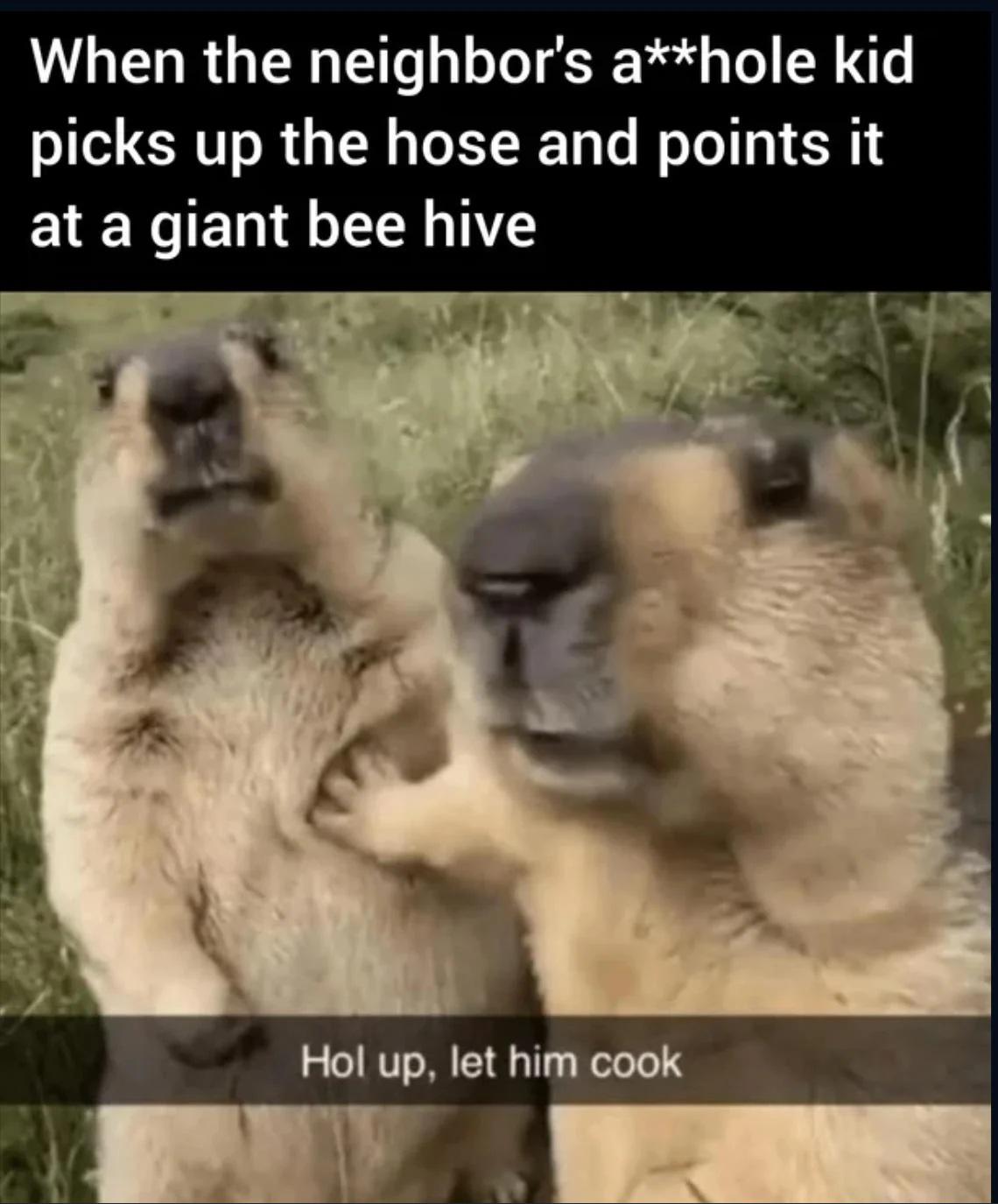 Bro got cooked