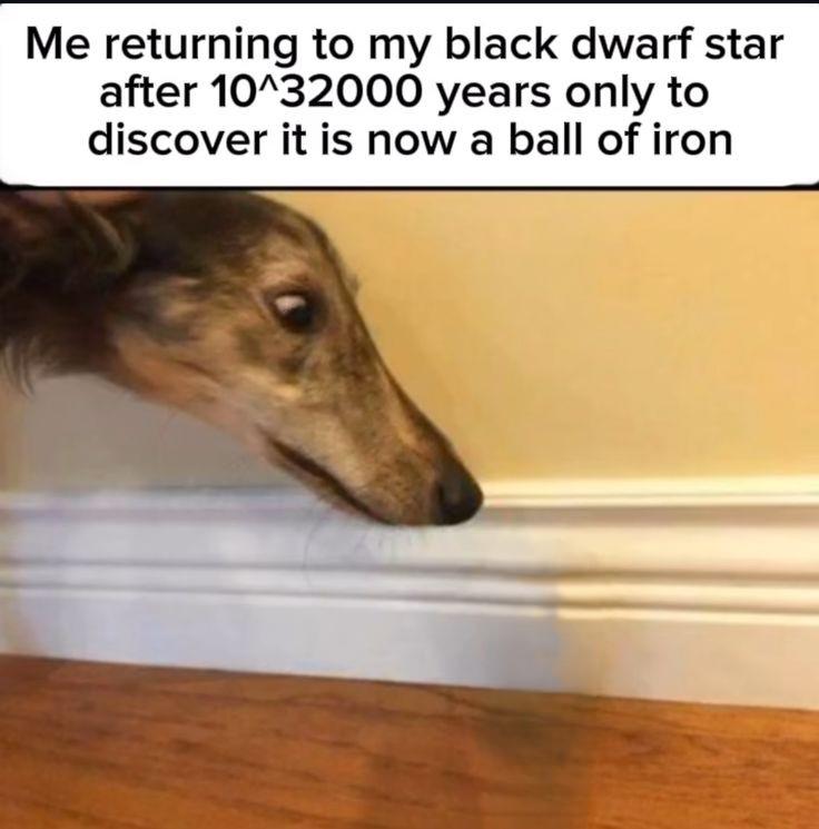 Bro turned into a paperweight