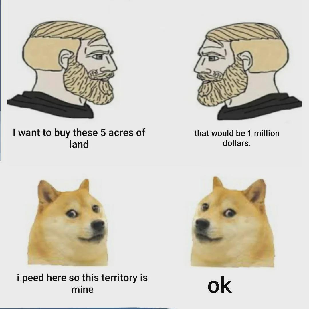 Human as usual