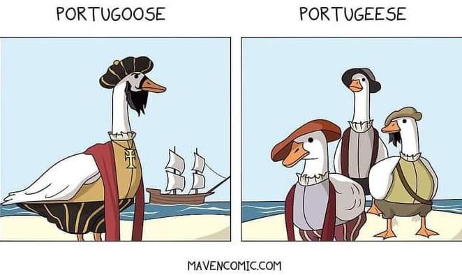 Portugaggle