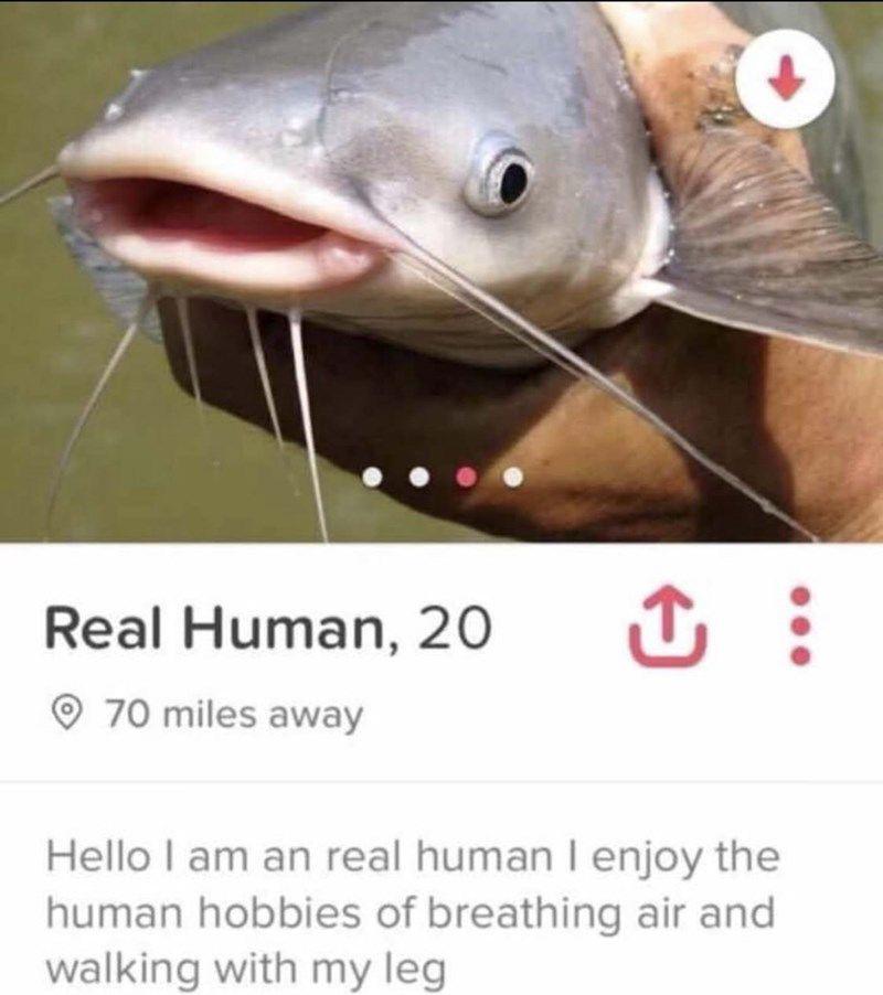 Definitely not a catfish