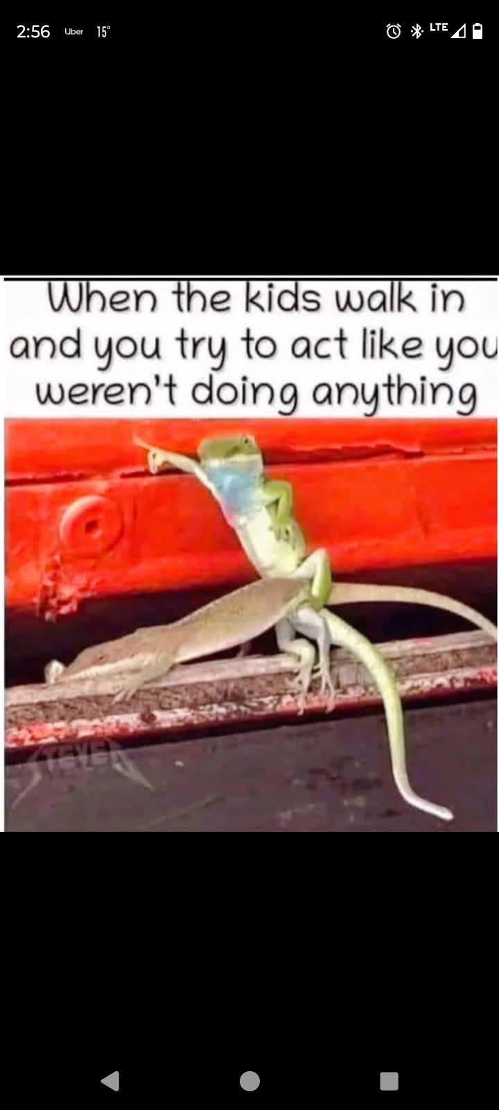 Found in the wild on fb