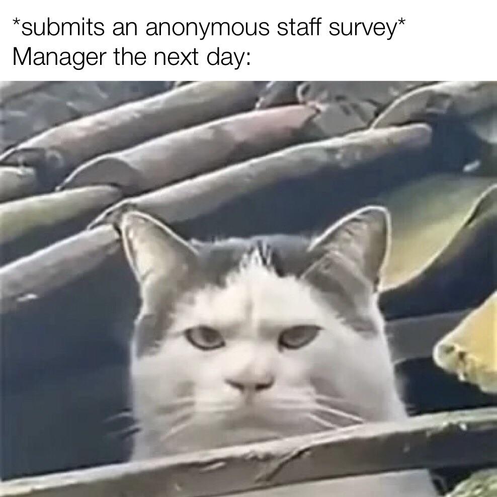 Staff engagement surveys are traps