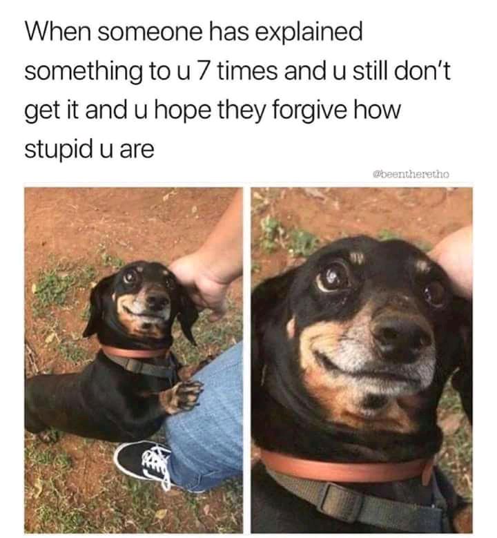 please don't leave me because of my stupidity