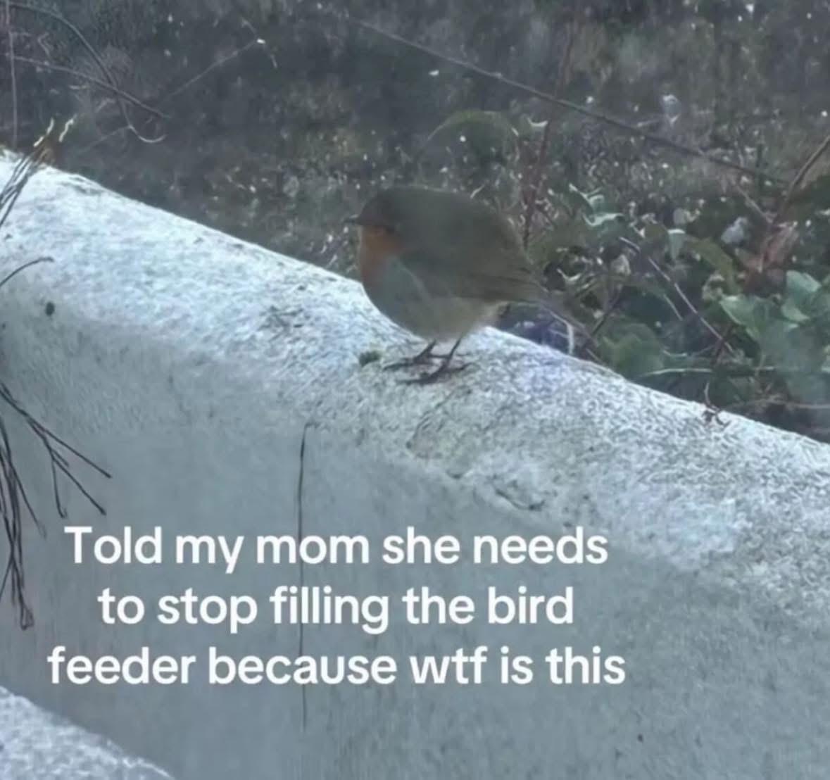 You can actually kill two stones with that bird