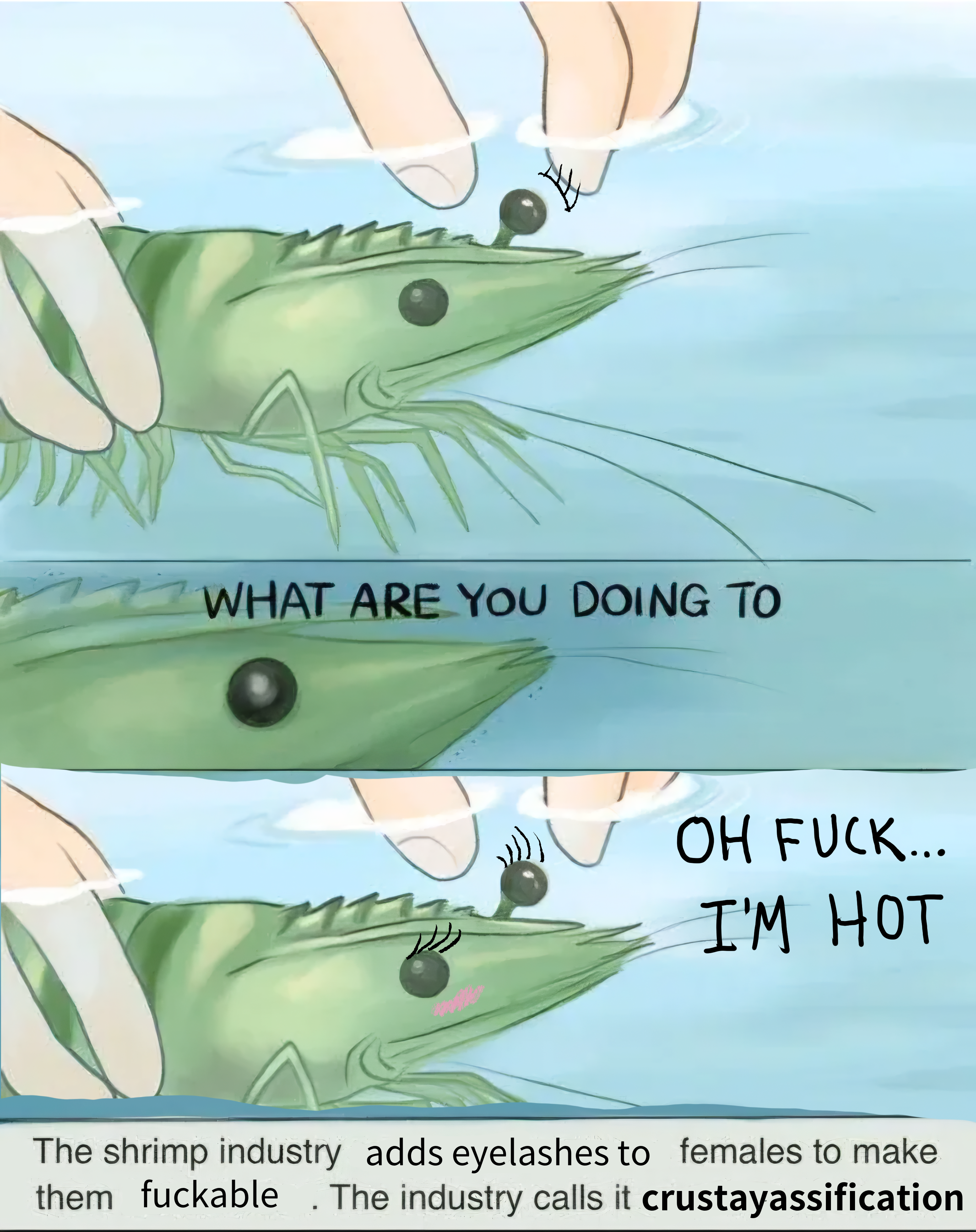You should know about shrimping