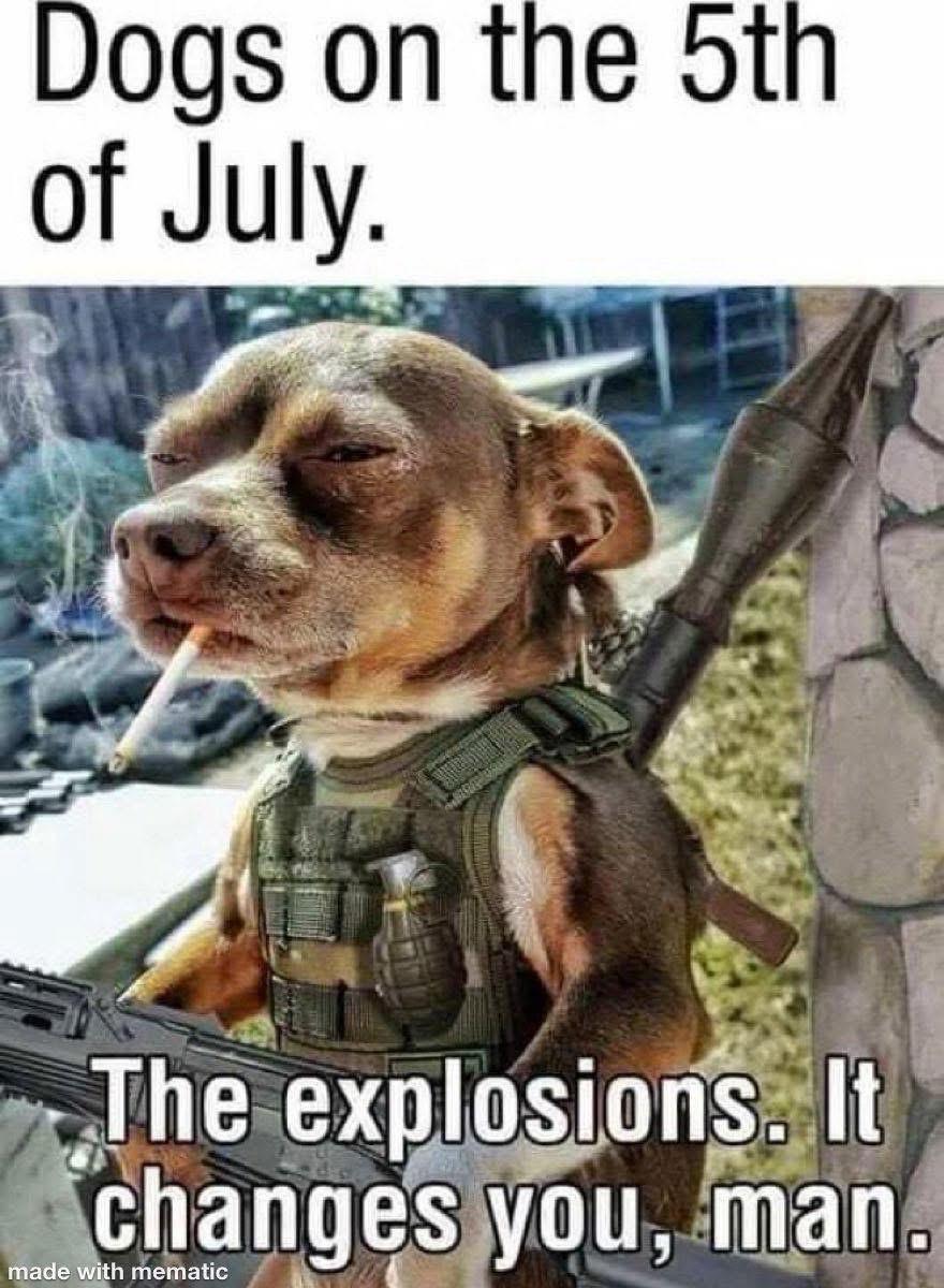 Dogs have heard some shit