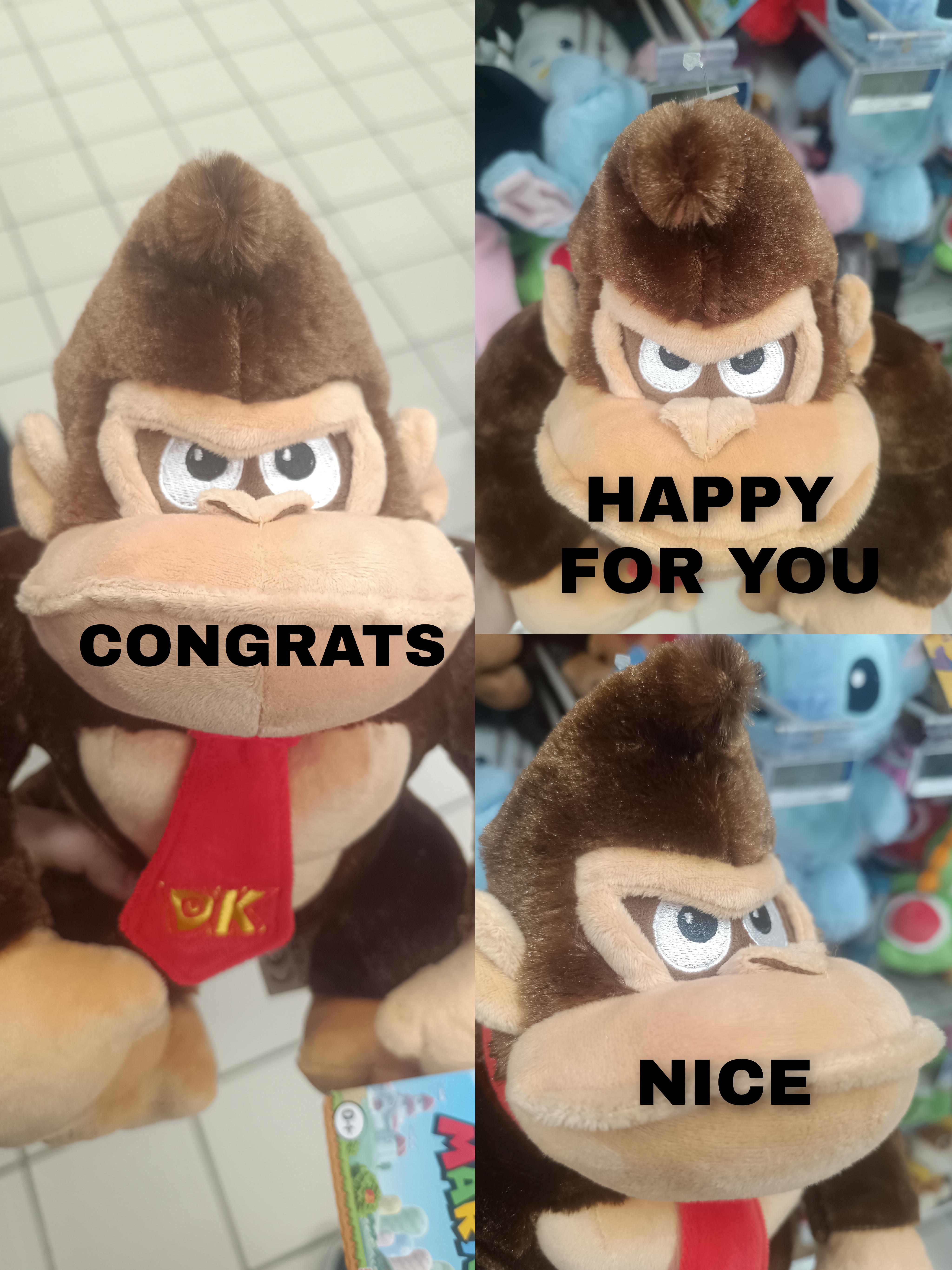 Should have bought the plush...