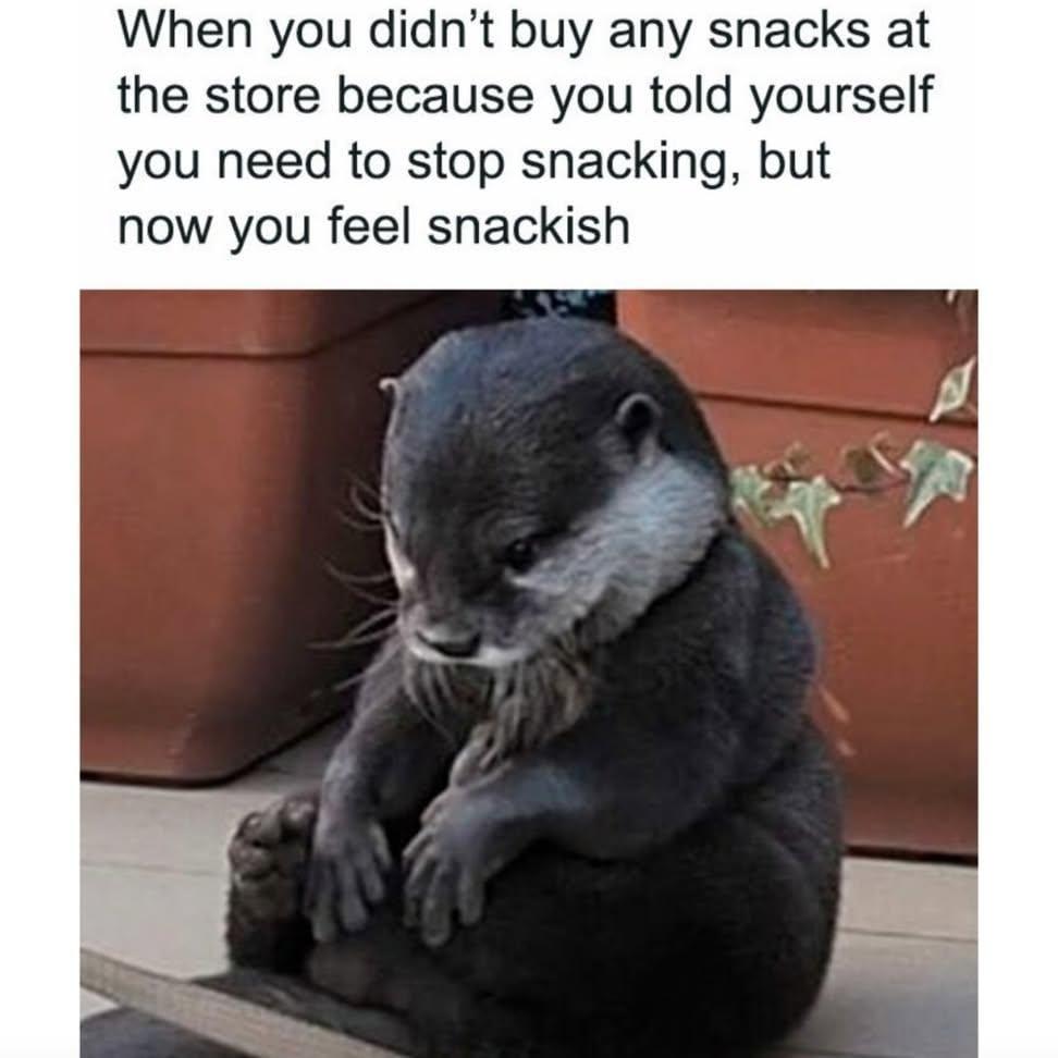Snack is love